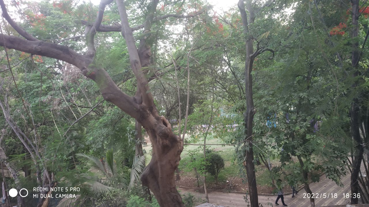1 BHK for rent in Dattawadi, Pune photo 2
