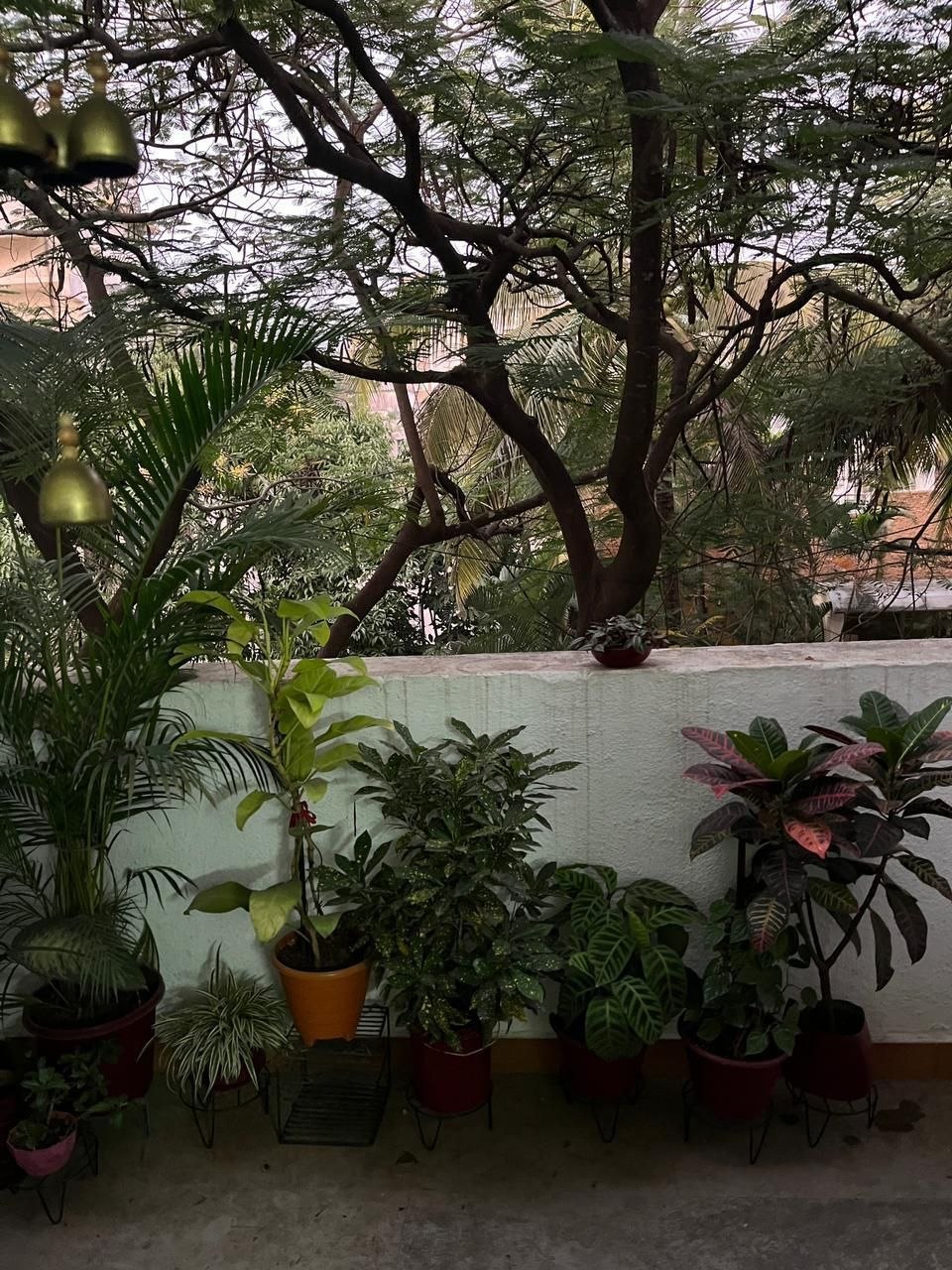 2BHK for rent in Kothrud, Pune photo 3