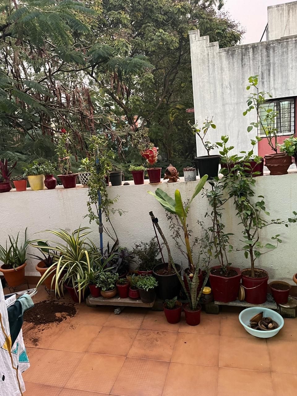 2BHK for rent in Kothrud, Pune photo 2