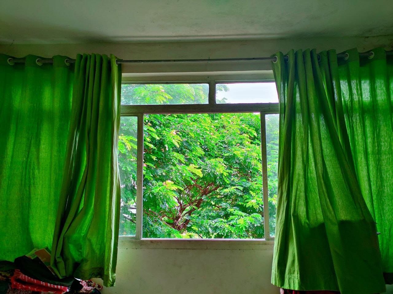 1 BHK for rent in Sadashiv Peth, Pune photo 4
