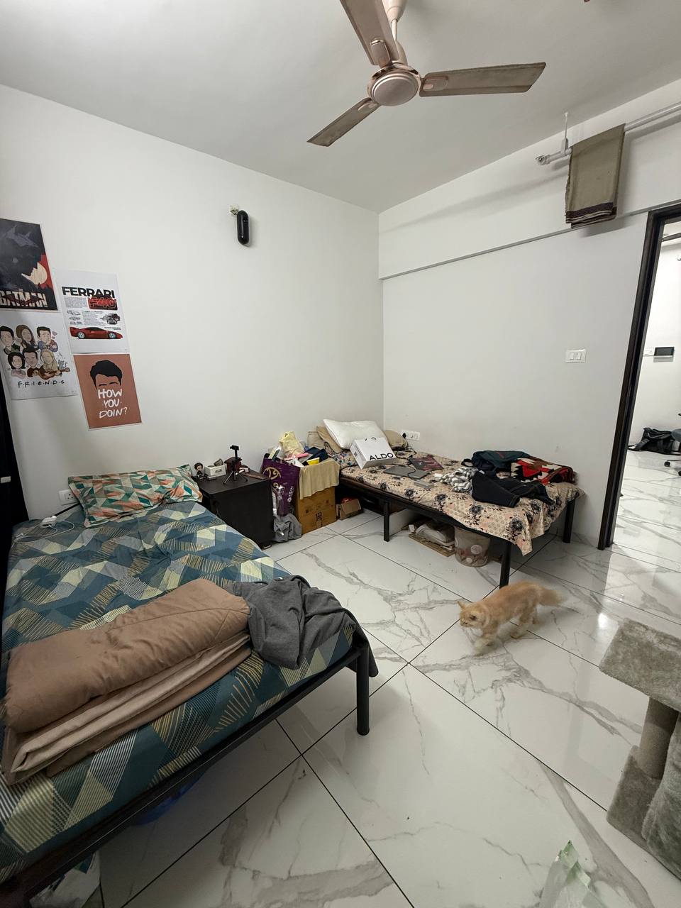 2BHK for rent in Punawale, Pimpri-Chinchwad photo 1